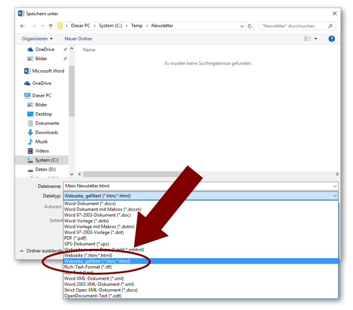 Word Newsletter als Webseite speichern