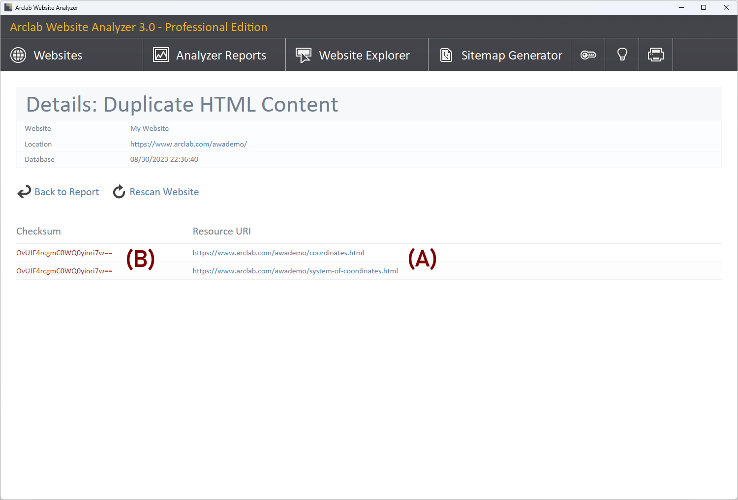 Details: Duplicate HTML Content